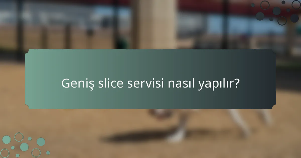 Geniş slice servisi nasıl yapılır?